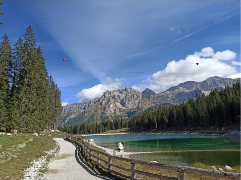 Fase di sopralluogo per aprire un parco avventura