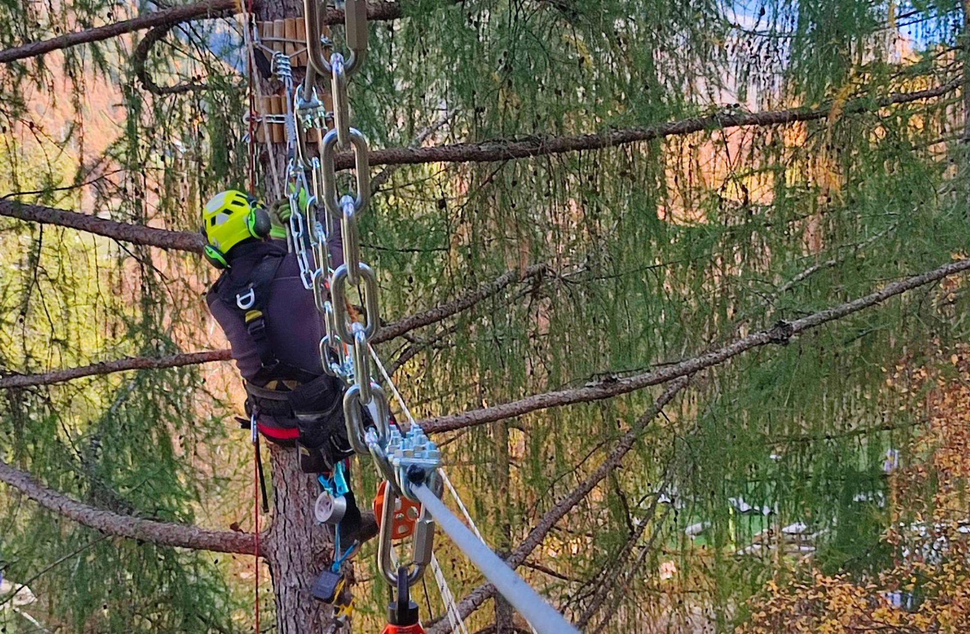 Costruzione percorsi jungle raider park