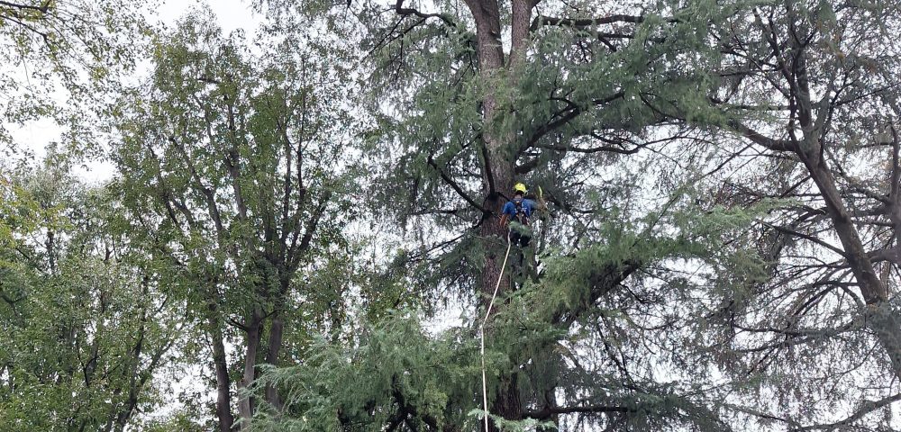 Realizzazione rete parco giochi per il Comune di Seregno - Italiana Parchi