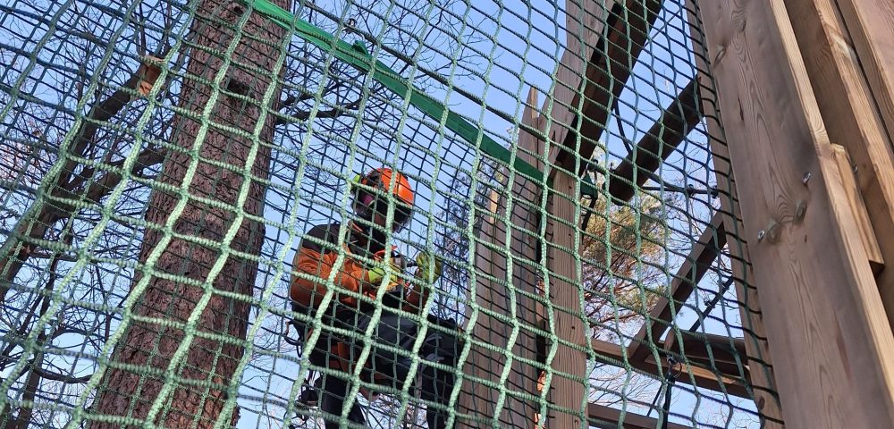 fasi costruzione realizzazione casetta sugli alberi parco regionale spina verde como - Italiana Parchi