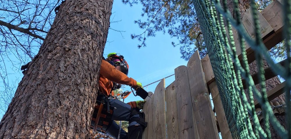 fasi costruzione realizzazione parco avventura parco regionale spina verde como - Italiana Parchi