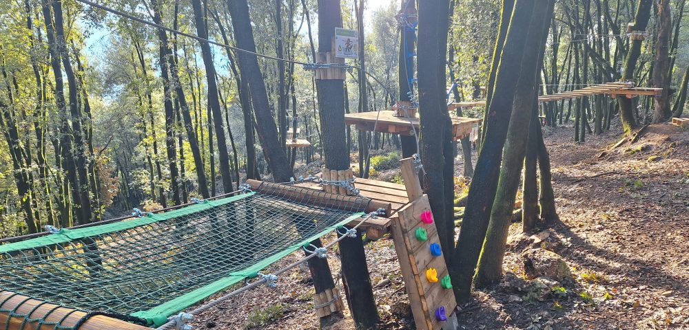 Costruzione parco avventura Lazio