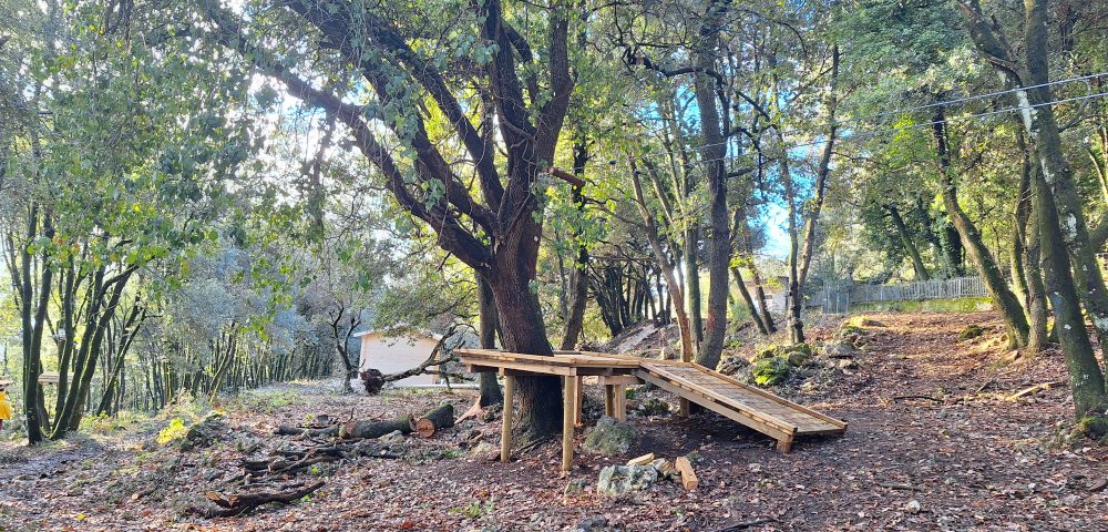Realizzazione parco avventura Castrocielo