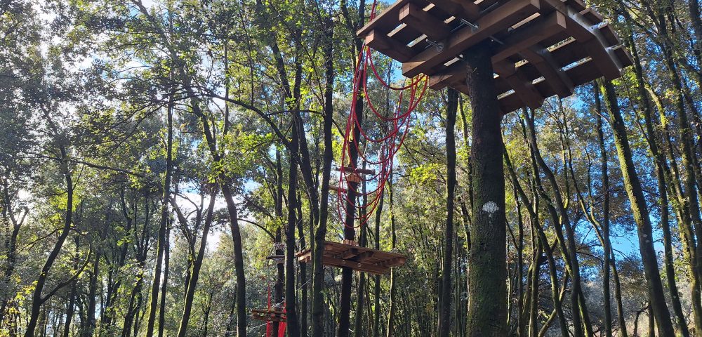 Costruzione parco avventura Colle San Magno Frosinone Lazio