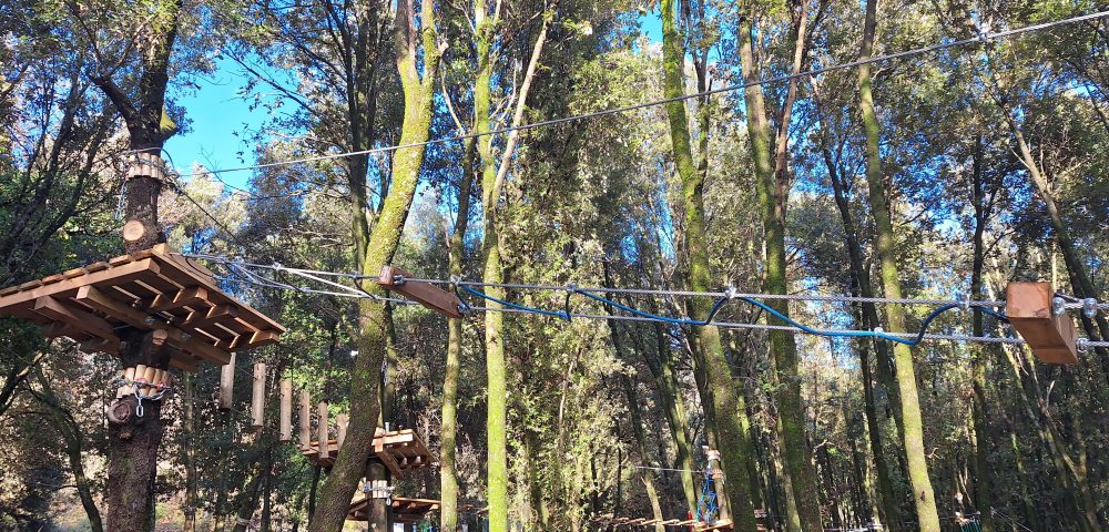 Parco avventura Castrocielo