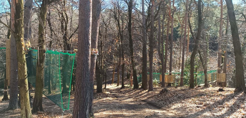 Costruzione percorsi parco avventura Como Spina Verde