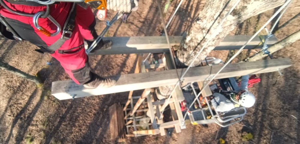 Dettaglio tecnico manutenzione straordinaria – Parco avventura Castelfalfi