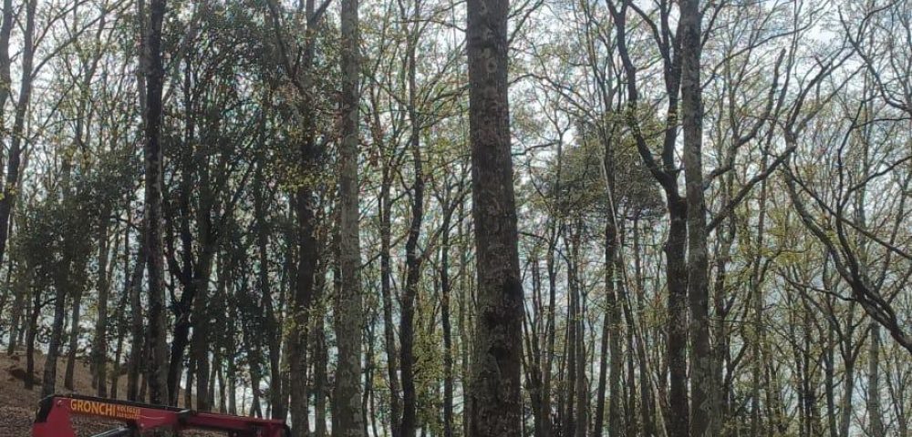 Sostituzione elementi ludico-sportivi – Lavori di manutenzione Castelfalfi