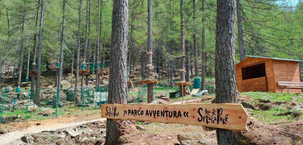 Costruzione parco avventura campodolcino