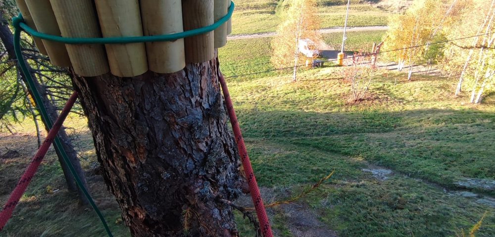 Costruzione parco avventura caspoggio