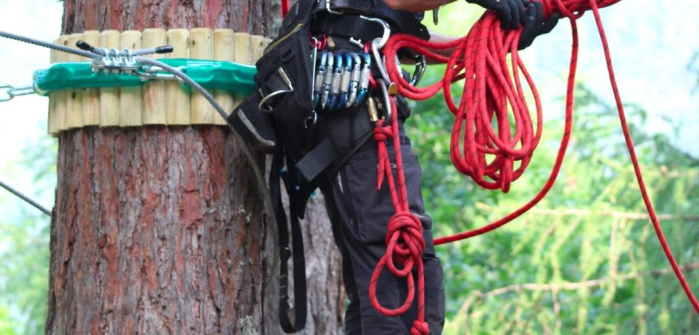 Costruzione percorsi parco avventura corteno golgi