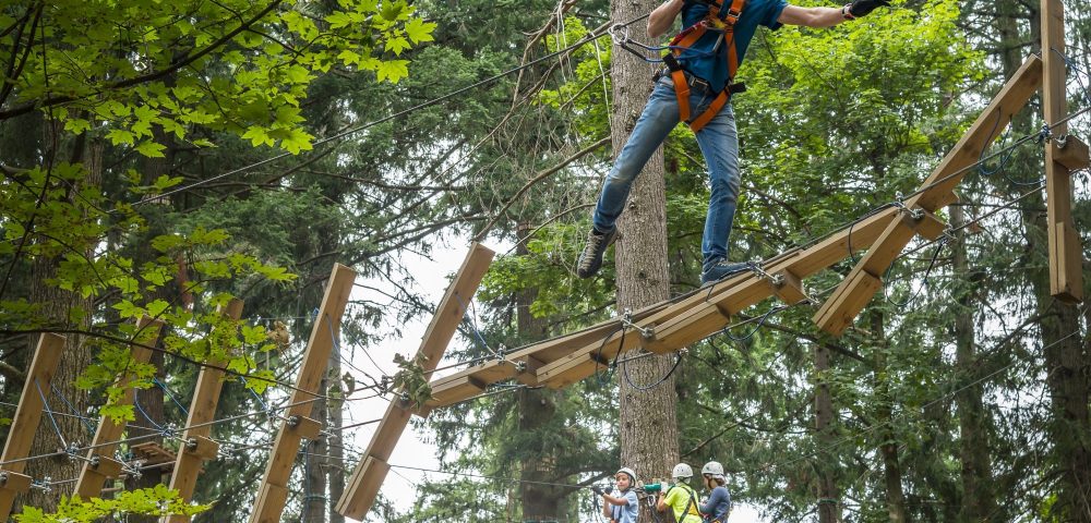 Costruzione percorso domino parco avventura jungle raider park albavilla