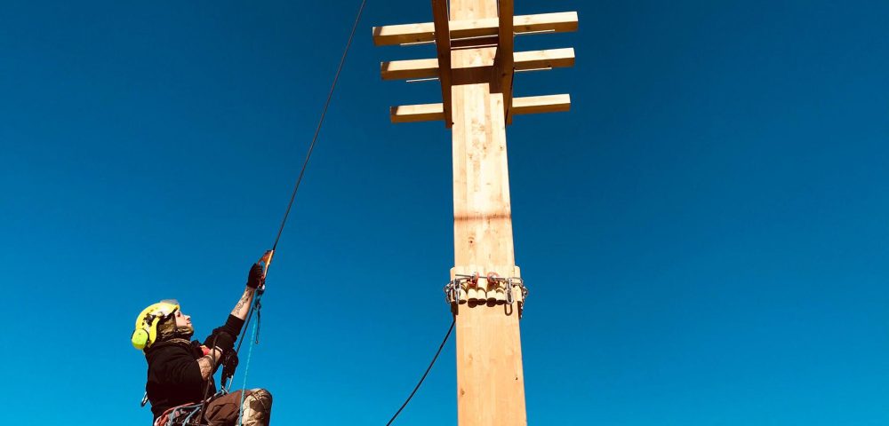 Costruzione percorso parco avventura artificiale