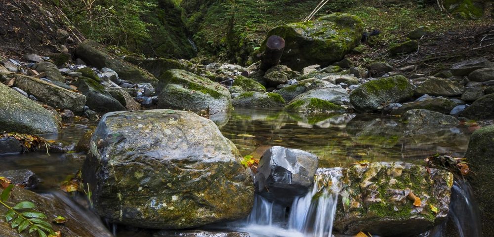 Costruzione percorso parco avventura caglio