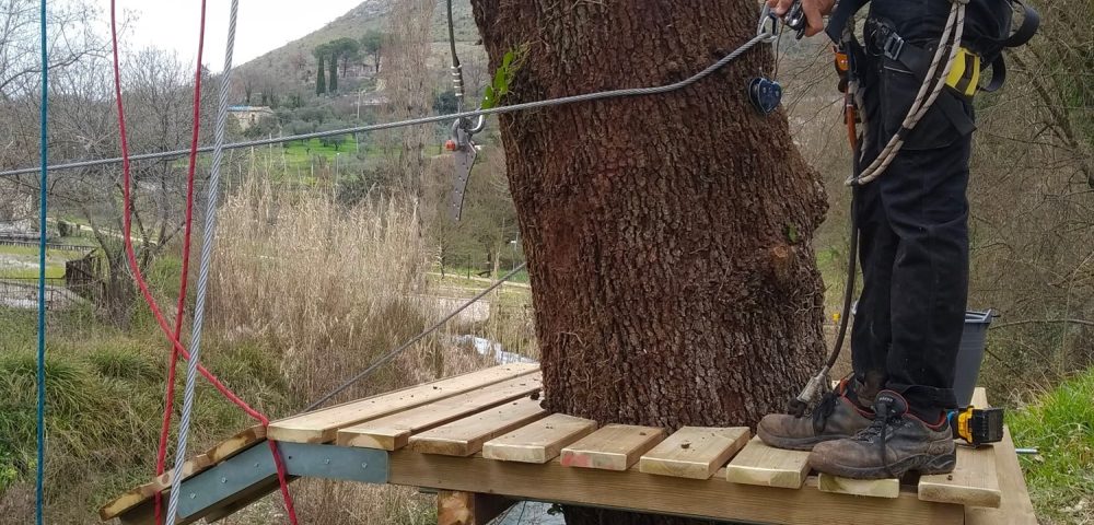Costruzione percorso parco avventura frosinone