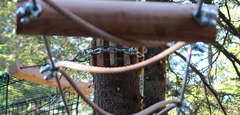 Costruzione percorso parco avventura