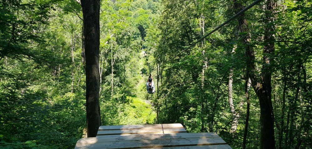 Costruzione percorso tra gli alberi parco avventura jrp xtreme