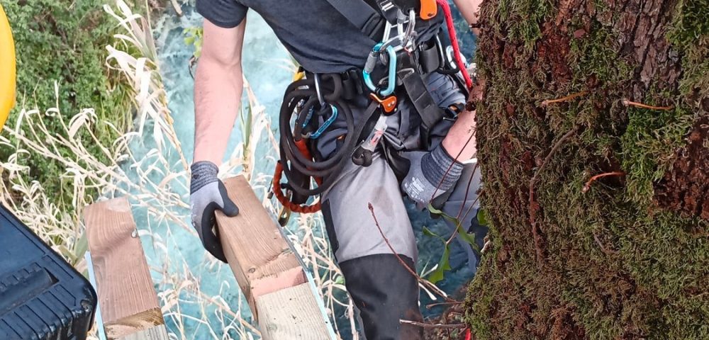 Costruzione piattaforma su alberi parco avventura fontana liri frosinone