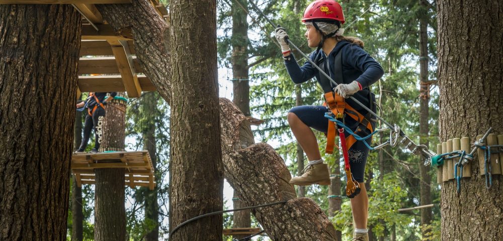 Costruzione tronco salita su percorso avventura al jungle raider park albavilla