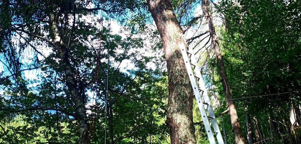 Inizio costruzione parco avventura corteno golgi brescia