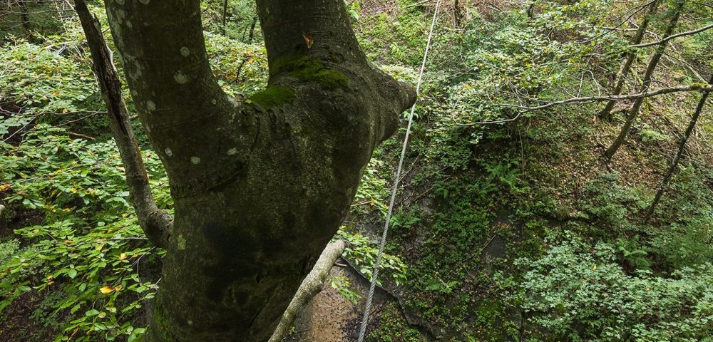 Realizzazione percorso parco avventura jrp xtreme