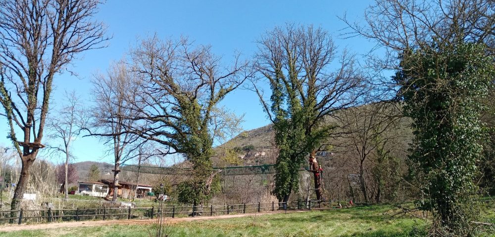 Realizzazione percorso ponte sacco parco avventura fontana liri frosinone