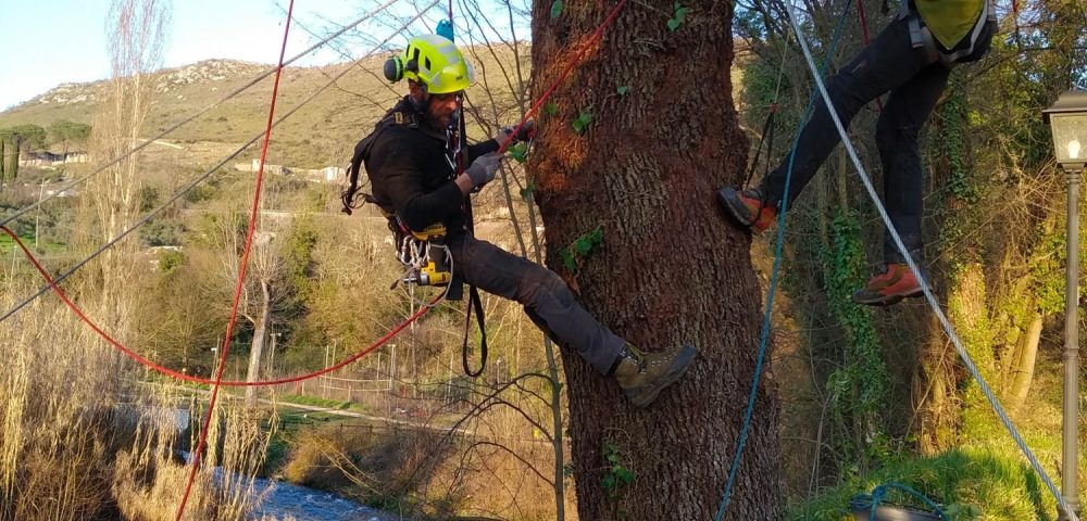 Team italiana parchi costruzione parco avventura frosinone